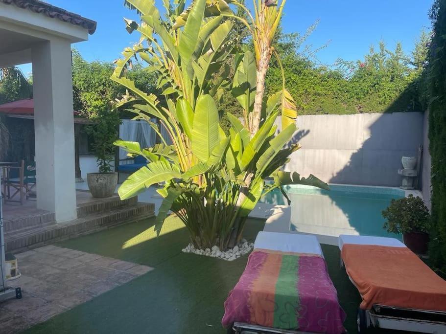 Atuaire Home Sevilla مايرينا ديل ألخارفي المظهر الخارجي الصورة